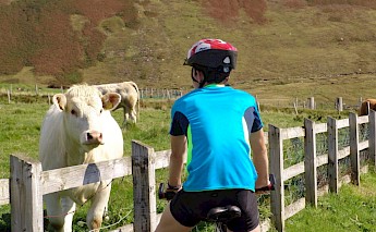 Donegal County Ireland Highlights E-bike Tour