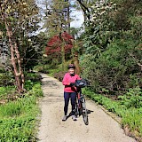 Glenveagh Castle Gardens - Donegal County Ireland Highlights E-bike Tour