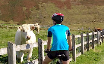 Treasures of the Donegal Coast Ireland Bike Tour