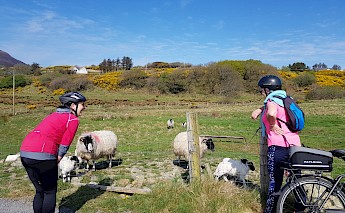 Treasures of the Donegal Coast Ireland Bike Tour