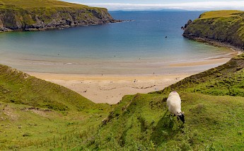 Donegal Coast beach. Brian Kelly@Unsplash