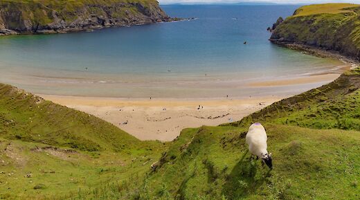 Donegal Coast beach. Brian Kelly@Unsplash