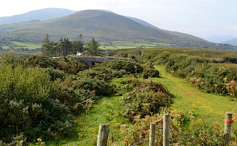 Connemara Countryside. Larry Koester@Flickr