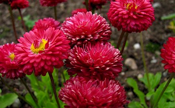 Connemara, Ireland. Jeremy Thompson@Flickr