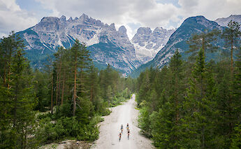 Cyclists ride along a gravel path flanked by tall evergreen trees, with rugged mountain peaks visible in the distance.