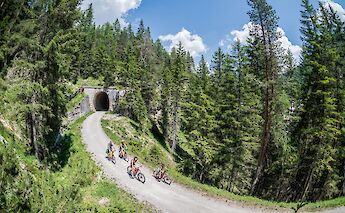 Cyclists pedal toward a historic railway tunnel surrounded by dense forest on a sunny day.