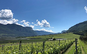 Bolzano, South Tyrol. Italy. Michael Heintz, Unsplash