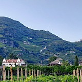 Bolzano, South Tyrol, Italy. Mauricio Munoz, Unsplash