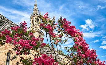 Cycling from Bolzano to Verona. -toEF