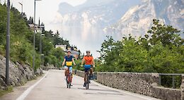 Bolzano to Verona: Orchards, Mountains & Timeless Culture