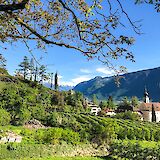 Cycling from Bolzano to Verona. -toEF