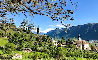 Cycling from Bolzano to Verona. -toEF