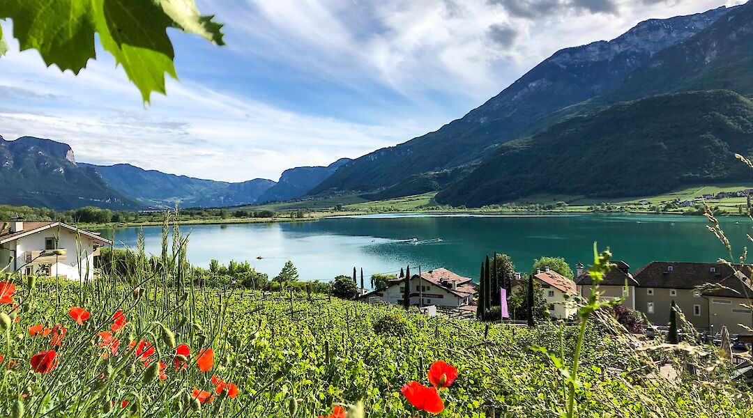 Cycling from Bolzano to Verona. -toEF