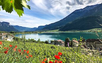 Cycling from Bolzano to Verona. -toEF