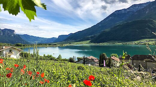 Cycling from Bolzano to Verona. -toEF