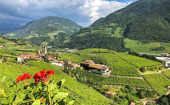 Cycling from Bolzano to Verona. -toEF