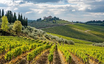 Chianti Vineyards, Siena Province, Italy. Rich Martello@Unsplash