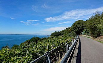 Dolomites to Trieste via Lake Bled at the Foot of the Julian Alps