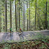Riding through woodland roads in the Julian Alps region. -toFA