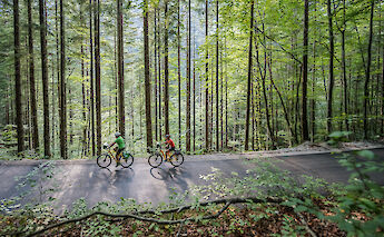 Riding through woodland roads in the Julian Alps region. -toFA