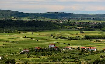 Slovenian wine country. Matt B@Flickr