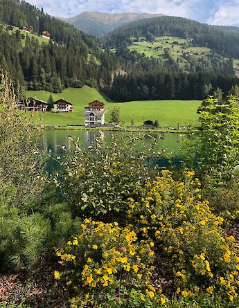 South Tyrol, Italy. Carlo Lisa@Unsplash