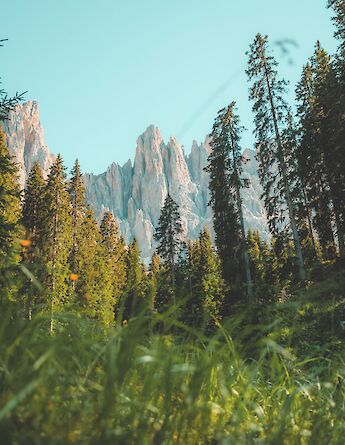 Dolomites in South Tyrol, Italy. daniel plan@Unsplash