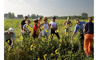 Florence to Rome E-Bike Tour