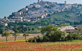 Biking through Umbria! sterlinglanier Lanier@Unsplash
