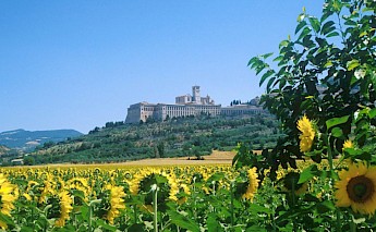 Biking through the Umbrian countryside!