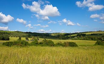 Cycling from Florence to Rome. toEB