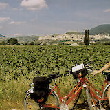 Florence to Rome Bike Tour