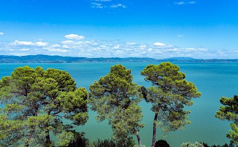 Lake Trasimeno in Italy. Nils Schirmer@Unsplash