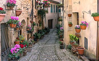 Spello, Perugia, Italy. sterlinglanier Lanier@Unsplash