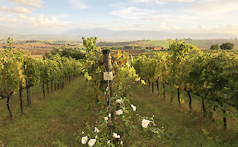 Cycling from Florence to Rome. toEB