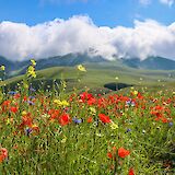 Umbrian countryside! Angelo Casto@Unsplash