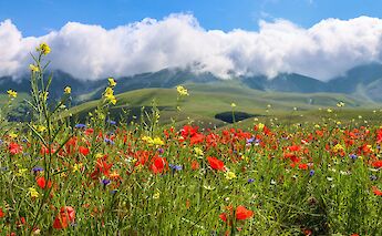 Umbrian countryside! Angelo Casto@Unsplash
