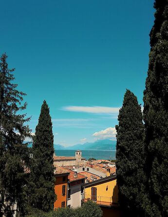Looking through trees, Lake Garda, Italy. Unsplash@Mattia Bericchia