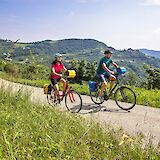 Cycling along the bicycle paths, Piedmont, Italy. CC:TO