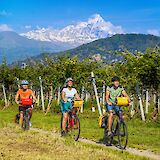 Cycling past orchards, Piedmont, Italy. CC:TO
