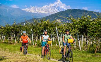 Cycling past orchards, Piedmont, Italy. CC:TO