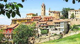 Piedmont Region by E-Bike: The Italian Garden of Eden
