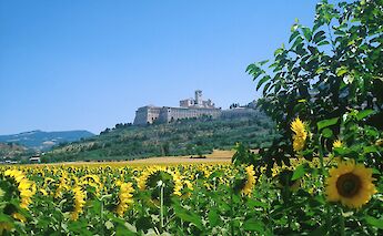 Assisi, Province Perugia & Region Umbria in Italy.