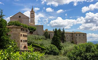 Flourishing greenery in Assisi, Italy. Unsplash:Fernando Tavora