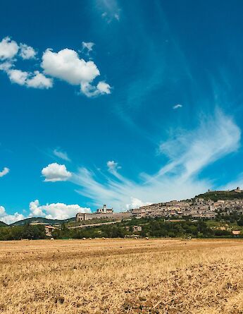 Golden fields around Assisi, Italy. Unsplash:Edoardo Busti