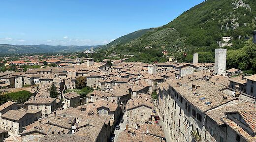 Roofs of Gubbia, Italy. Unsplash:Anthony Tilke