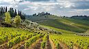 Tuscan Wine Classic: Pienza to Castellina via Siena