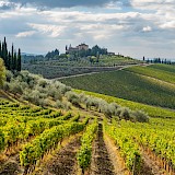 Tuscan Wine Classic