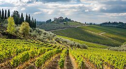 Tuscan Wine Classic: Pienza to Castellina via Siena