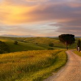 Tuscany countryside in Italy. Fabrizio Lunardi@Unsplash
